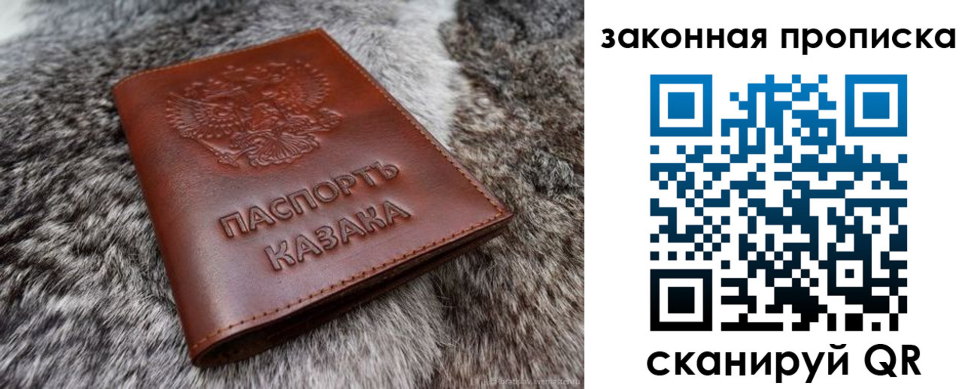 прописка в Завитинске